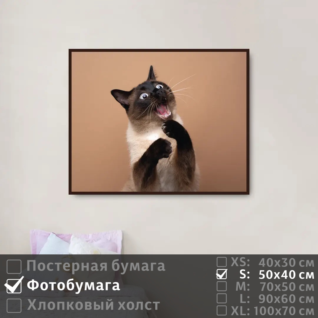 

Постер на фотобумаге ПолиЦентр Портрет забавной кошки 50х40 см, ПортретЗабавнойКошки