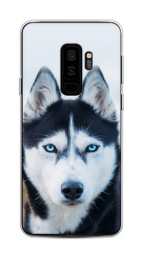 

Чехол на Samsung Galaxy S9 Plus "Хаски 2", Синий;белый, 25850-1