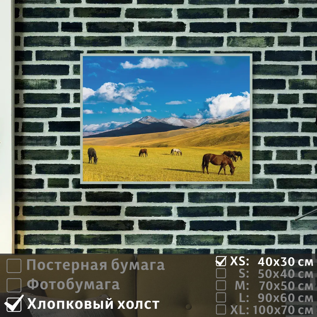 

Постер на холсте ПолиЦентр Дикие лошади на поле в казахстане 40х30 см, ДикиеЛошадиНаПолеВКазахстане