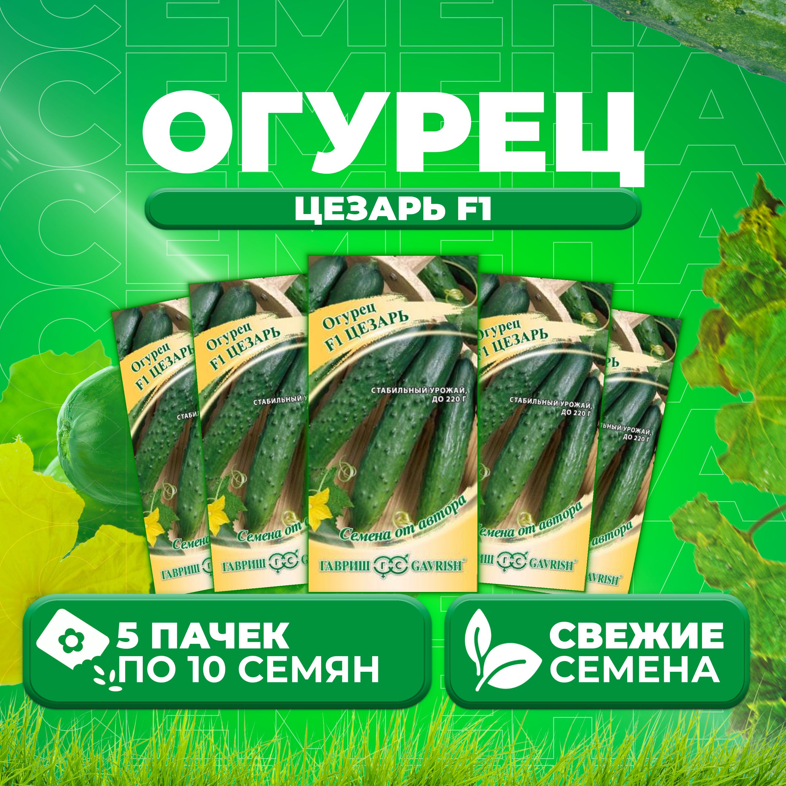 

Семена огурец Цезарь F1 Гавриш 70000838-5 5 уп., 70000838