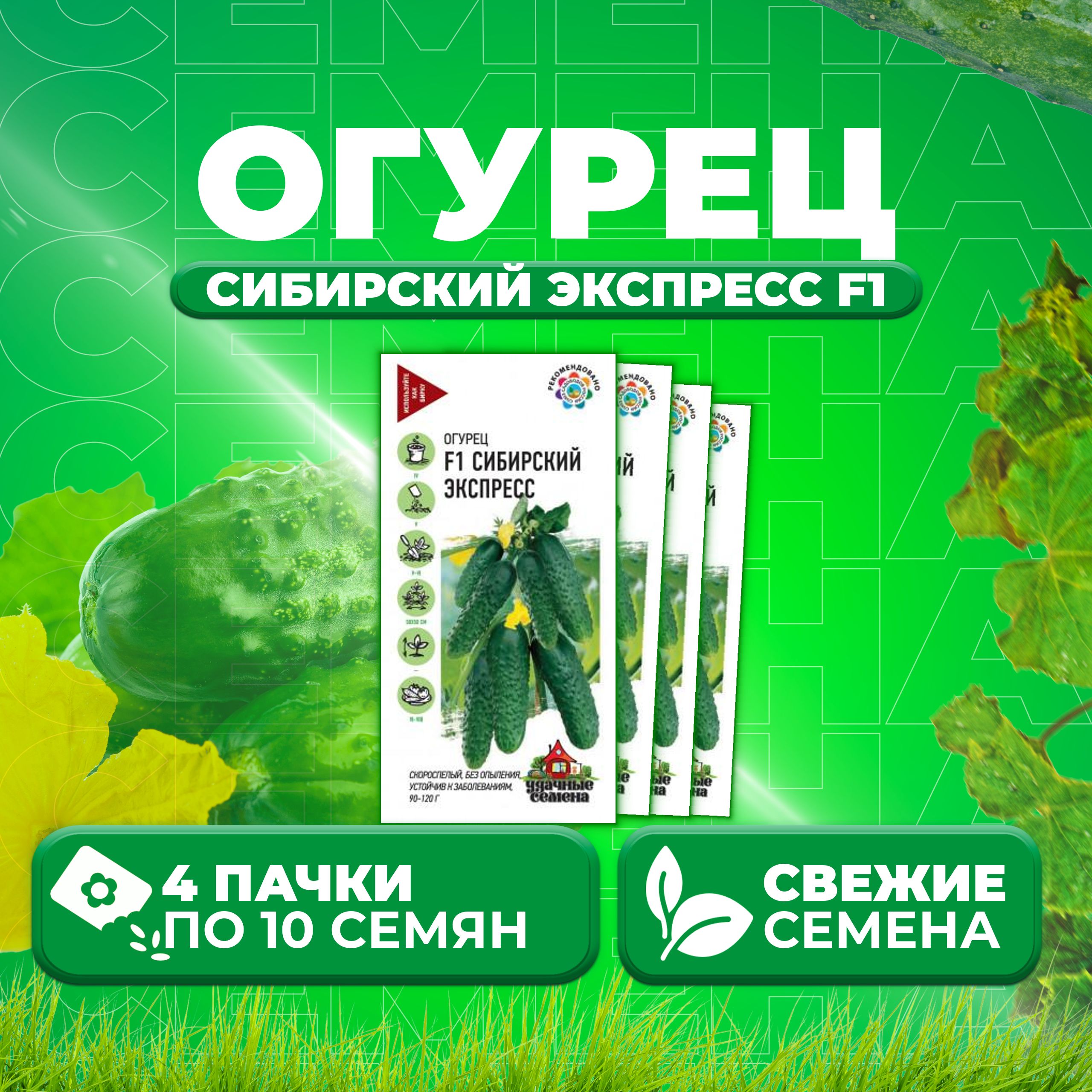 

Семена огурец Сибирский экспресс F1 Удачные семена 1999945297-4 4 уп., 1999945297