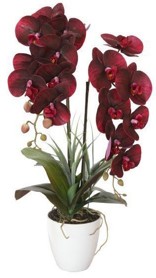 фото Орхидея бордовая в горшке высота 58 см garda decor