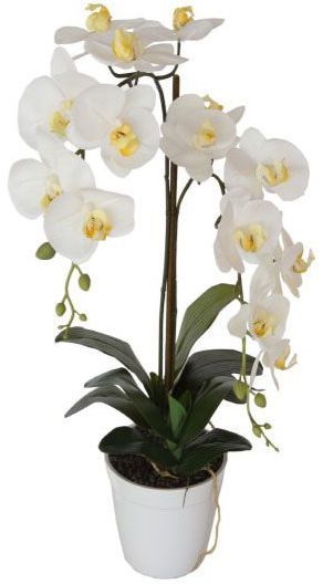 фото Орхидея белая в горшке высота 65 см garda decor