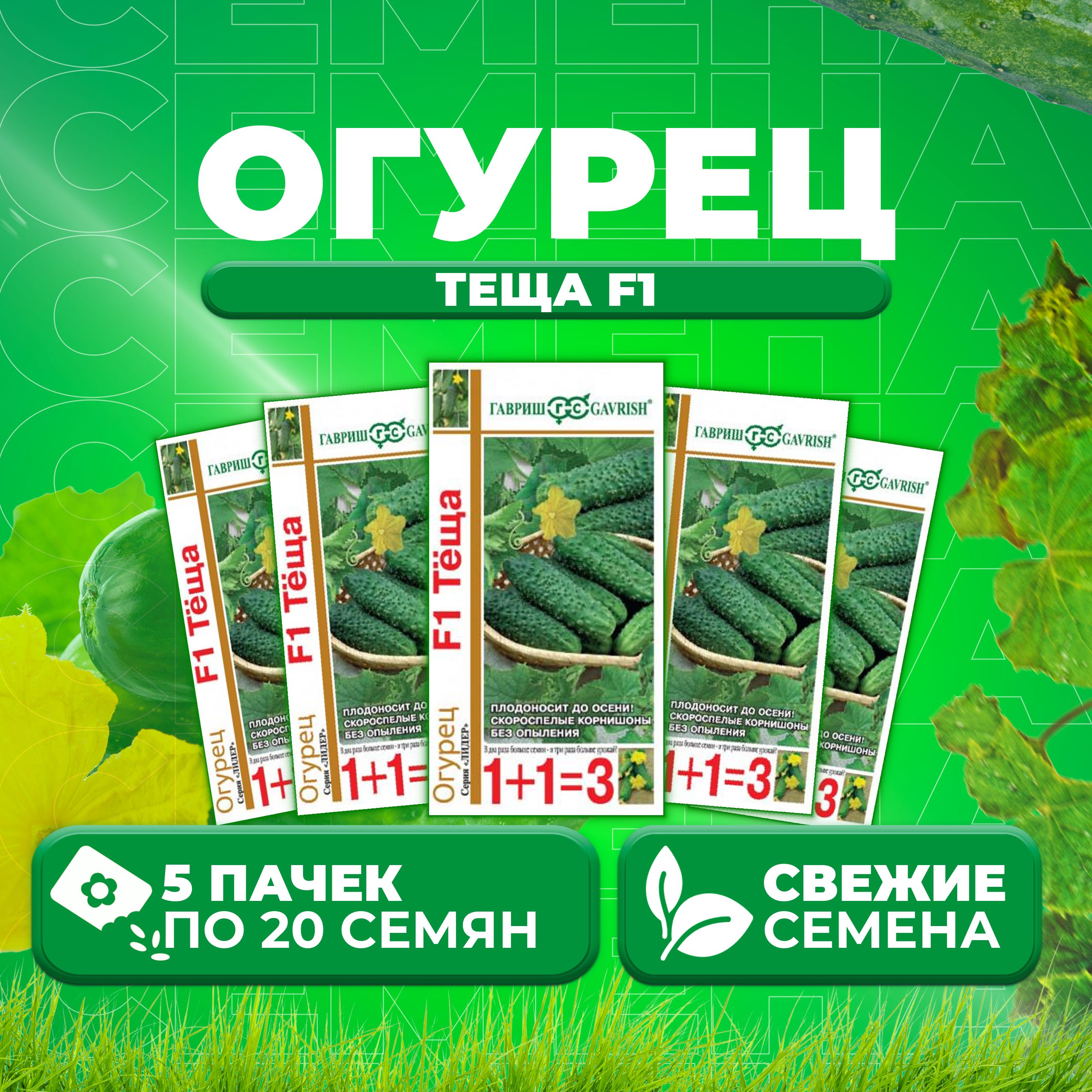 Огурцы Теща Отзывы Фото