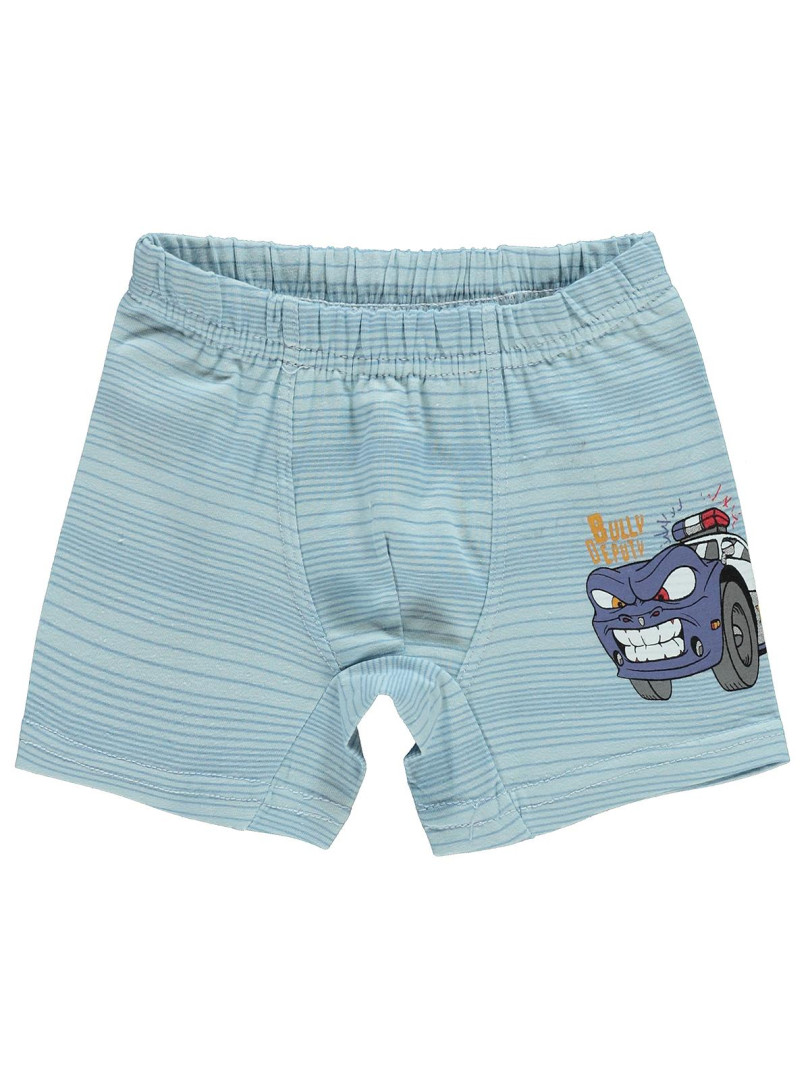 

Боксеры Civil р. 6-7 лет Синий, D279044TFY21-2 (доставка из-за рубежа), D279044TFY21-2