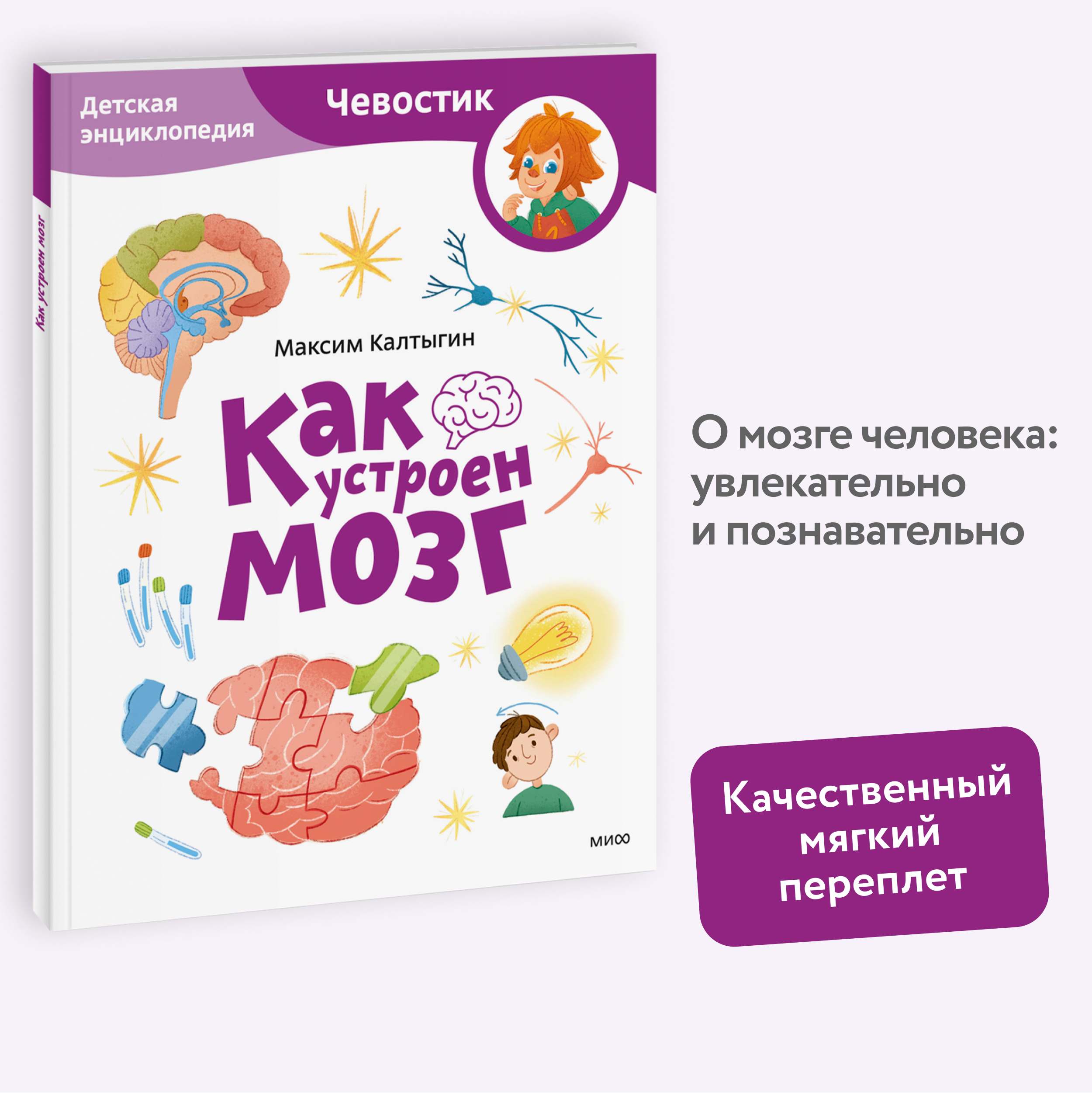 

Как устроен мозг