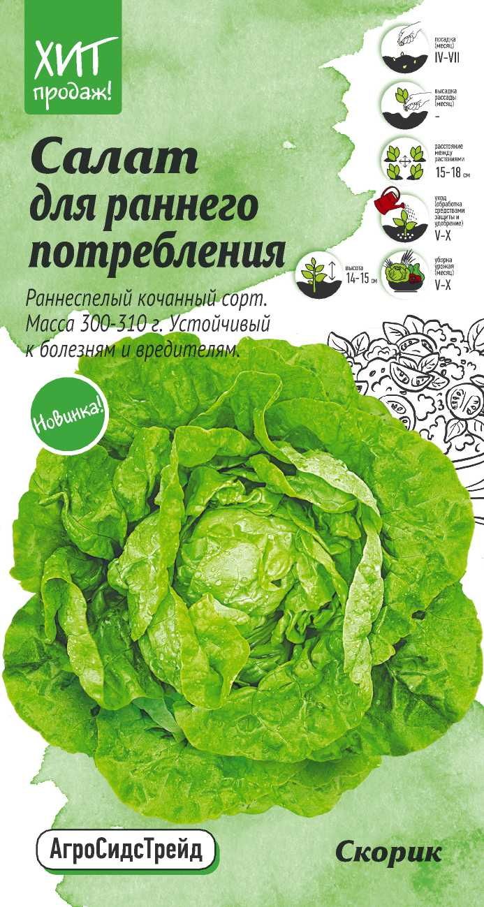 

Семена Салат Скорик АСТ 1 г