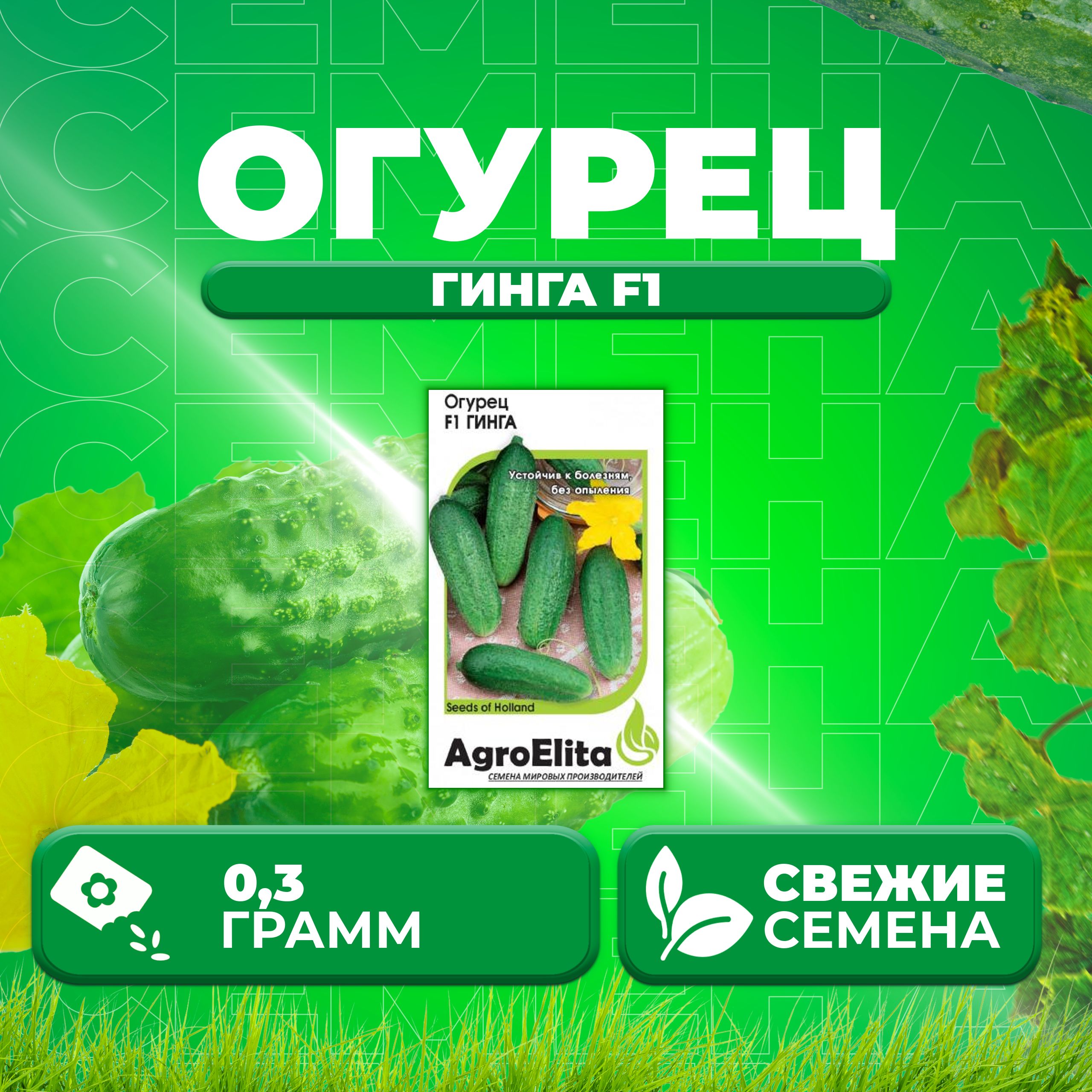 

Семена огурец Гинга F1 AgroElita 1999948931-1 1 уп., 1999948931