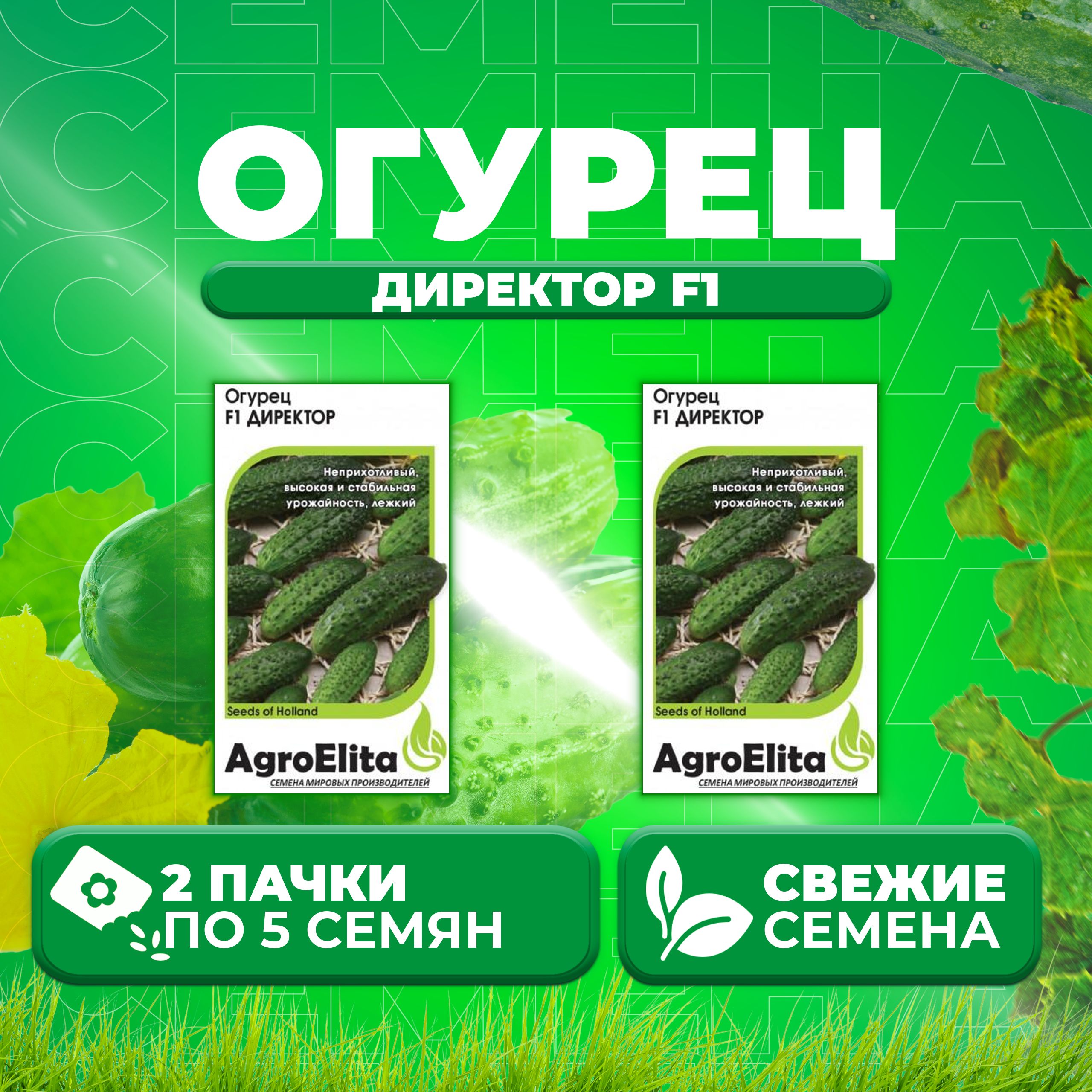 

Семена огурец Директор F1 AgroElita 1999948924-2 2 уп., 1999948924