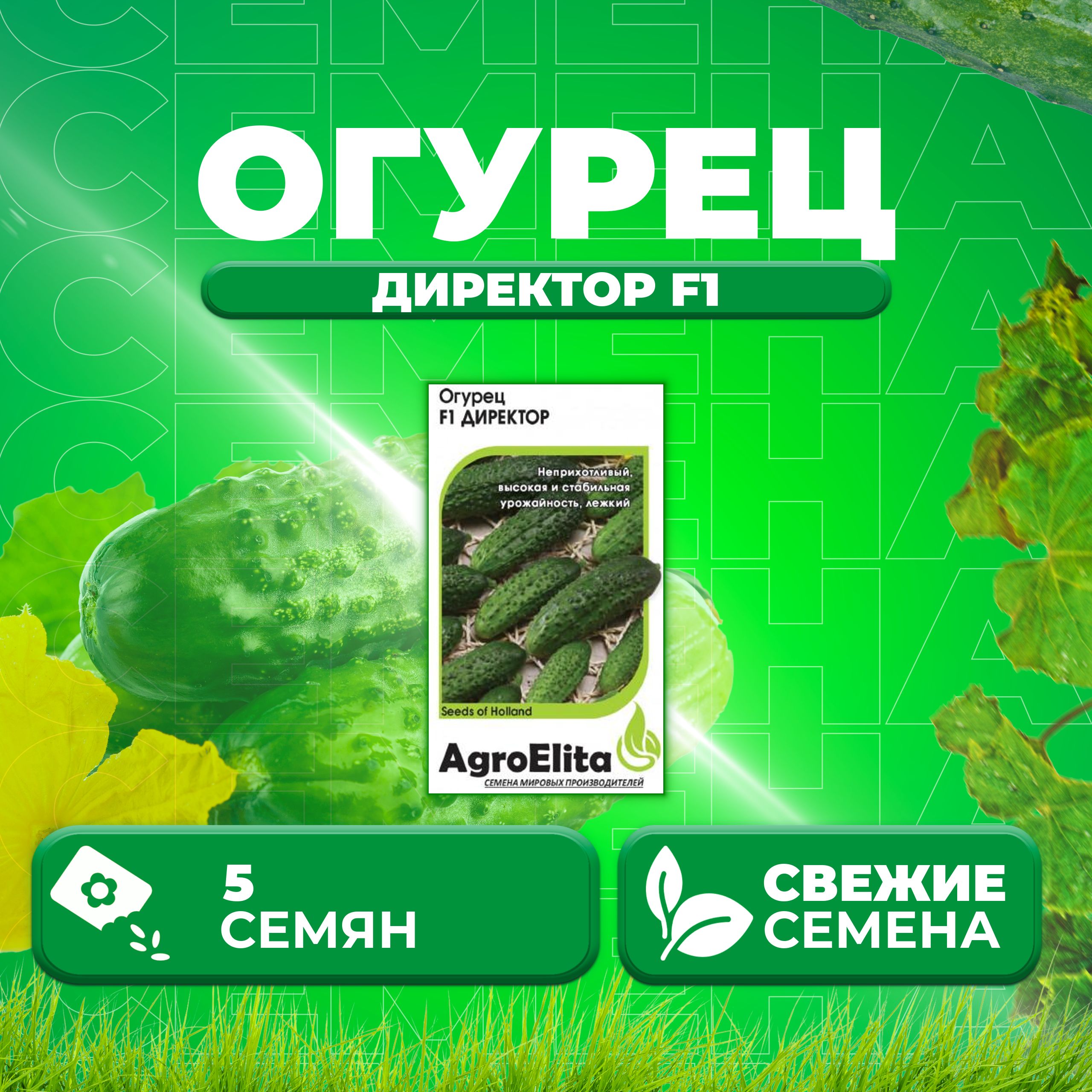 

Семена огурец Директор F1 AgroElita 1999948924-1 1 уп., 1999948924