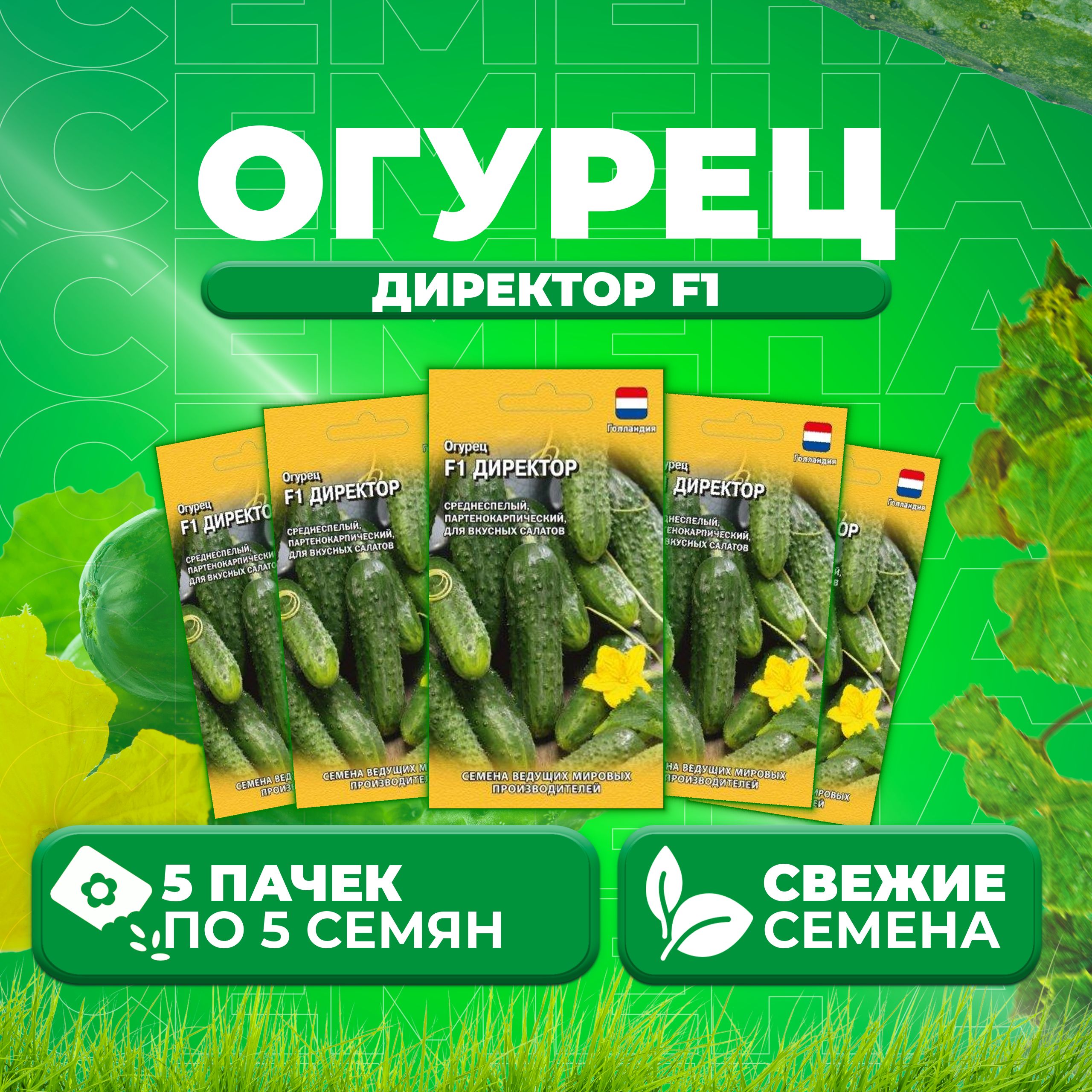 Купить Семена Огурцов Директор F1