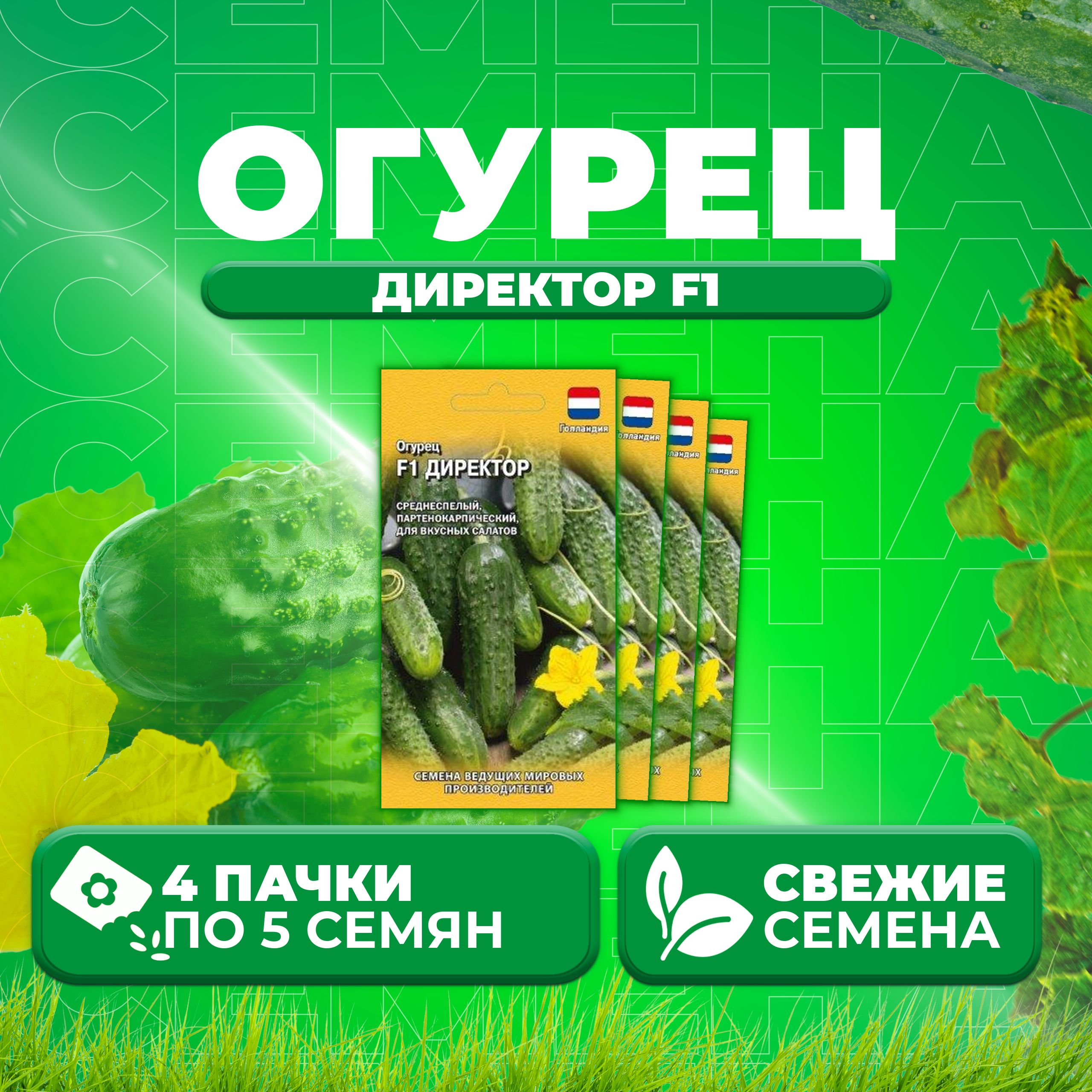 

Семена огурец Директор F1 Гавриш 1999948923-4 4 уп., 1999948923