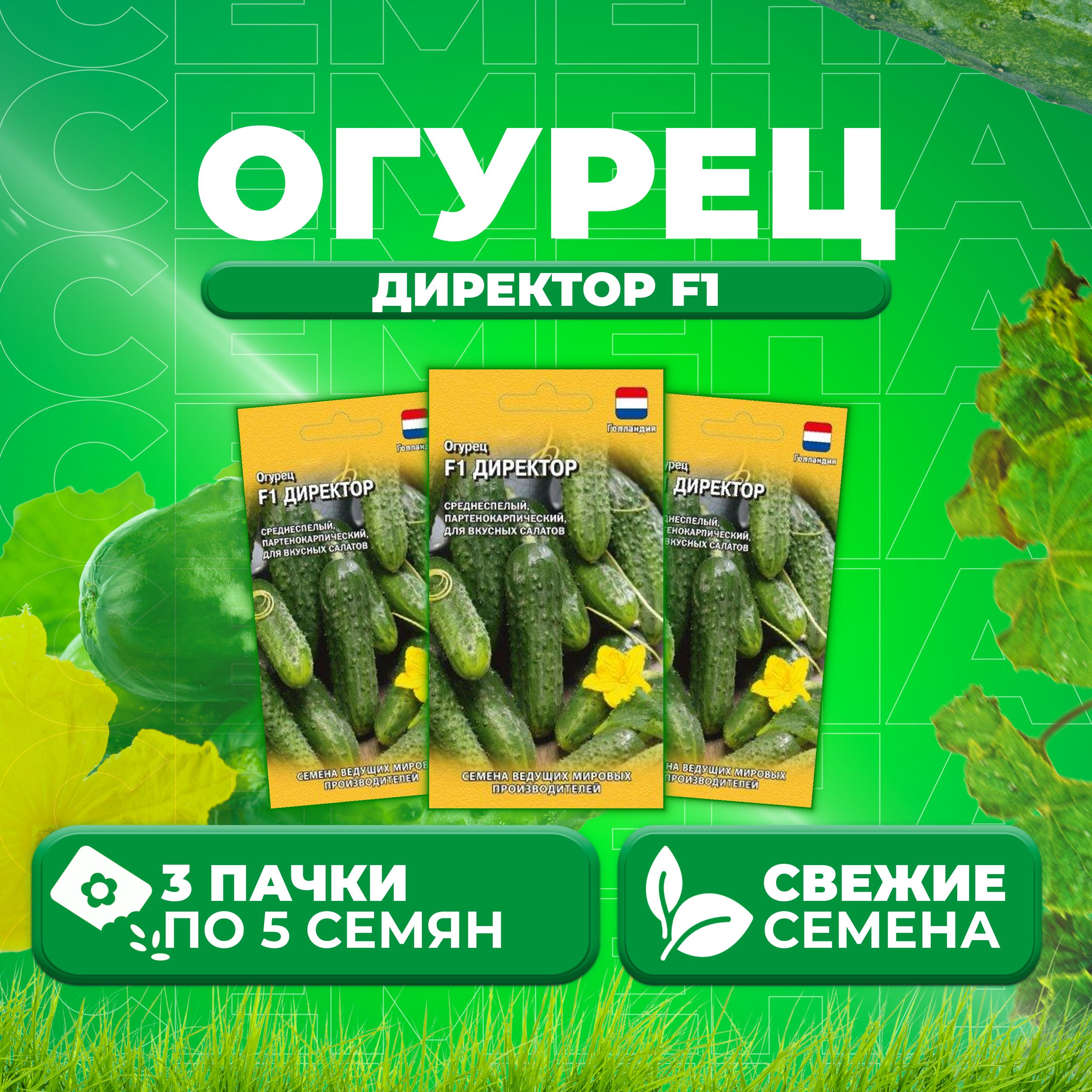 Купить Семена Огурцов Директор F1