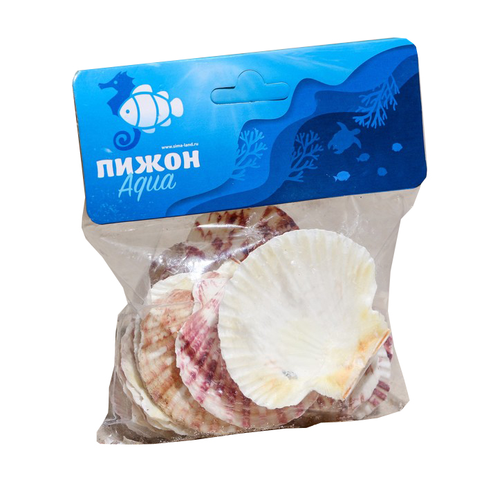 

Набор ракушек Пижон Аква, Гребешок пуксидатус, размер 4 - 6 см, 100 г, Разноцветный