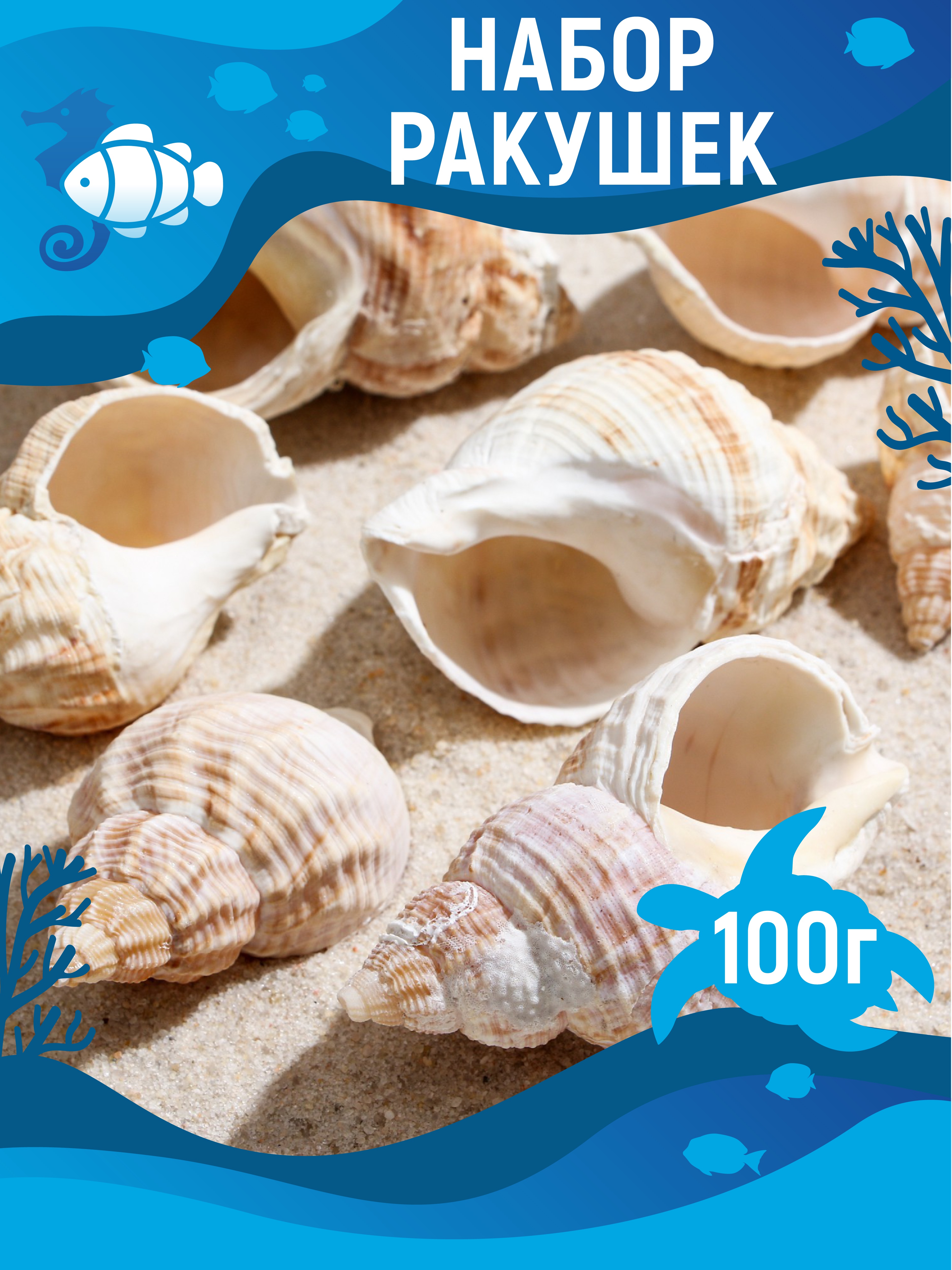 

Набор ракушек Пижон Аква Horse conch, 100 г, Разноцветный