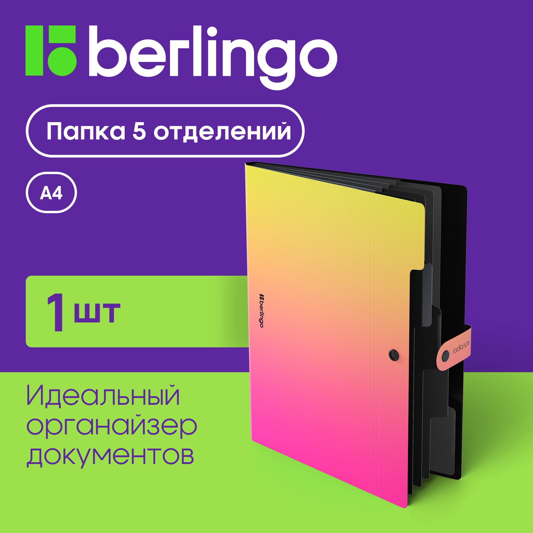 

Папка с отделениями на кнопке А4 Berlingo Radiance сине-розовая, Разноцветный