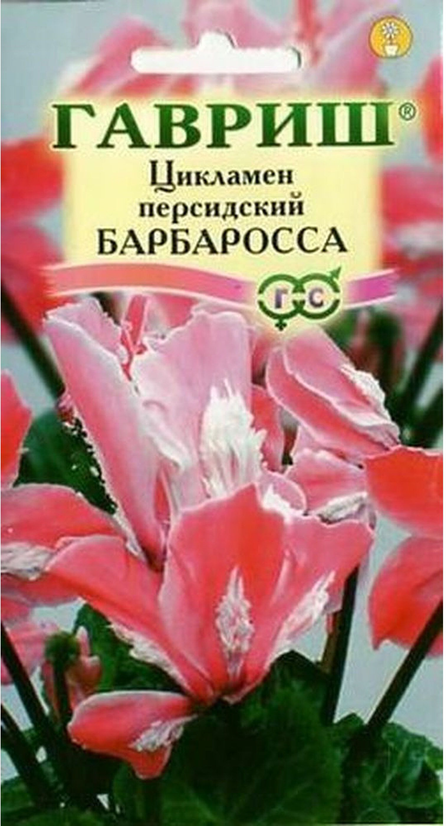 

Семена Цикламена персидского ГАВРИШ Барбаросса 3 шт