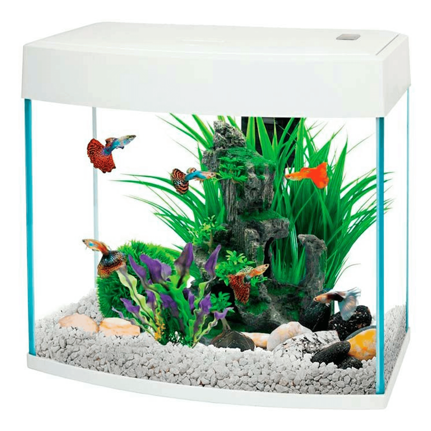 Аквариум AA Aquarium BasicP с LED светильником и встроенным фильтром, 14 л, белый