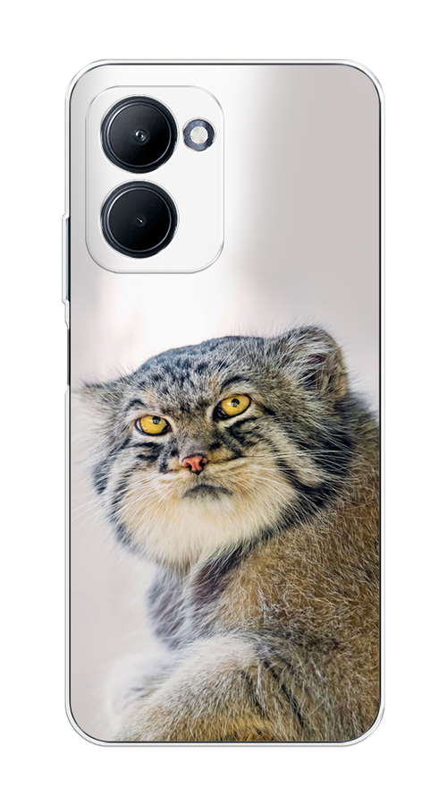 

Чехол на Realme C33 "Кот манул 1", Серый;белый;желтый, 2511350-1