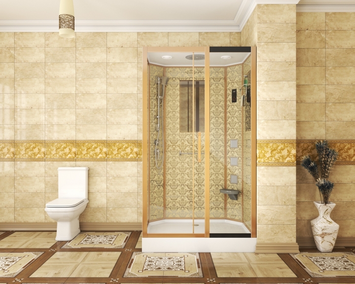 

Душевая кабина Niagara Lux 7711G правосторонняя