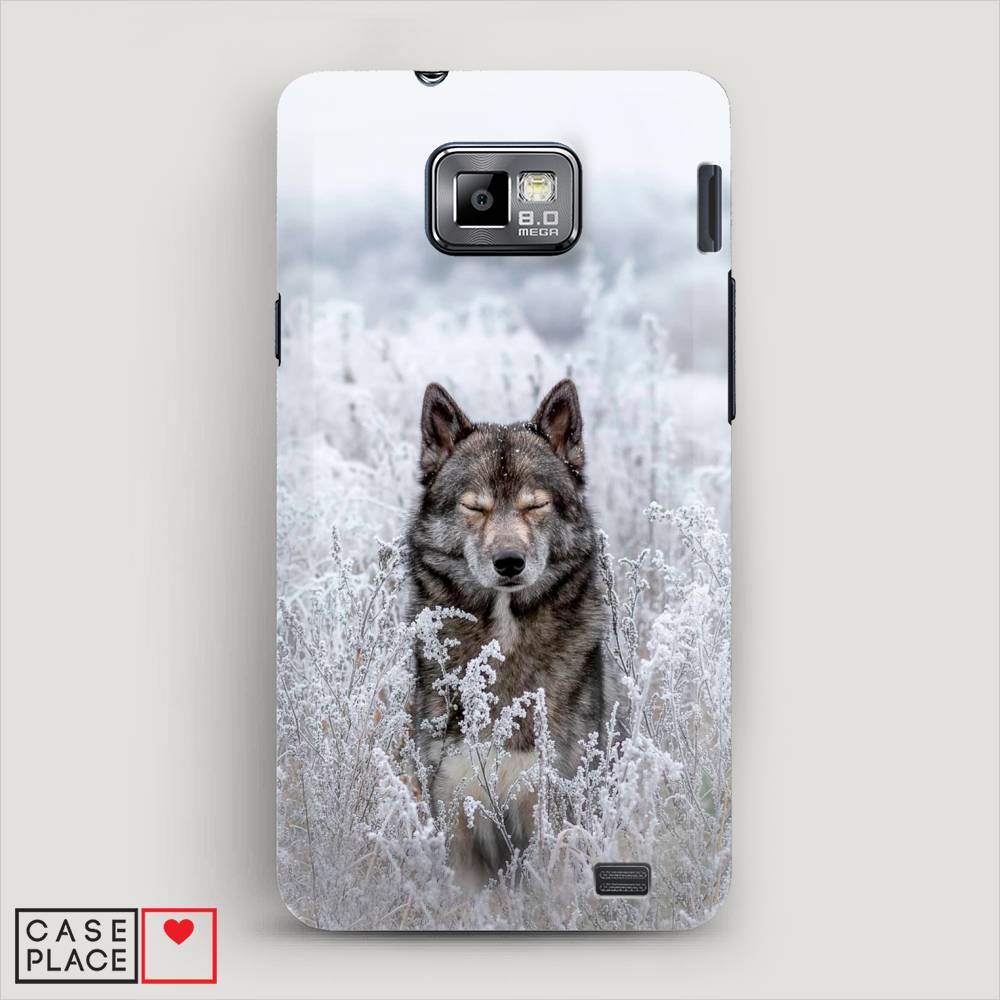 

Чехол Awog "Волк в поле" для Samsung Galaxy S2