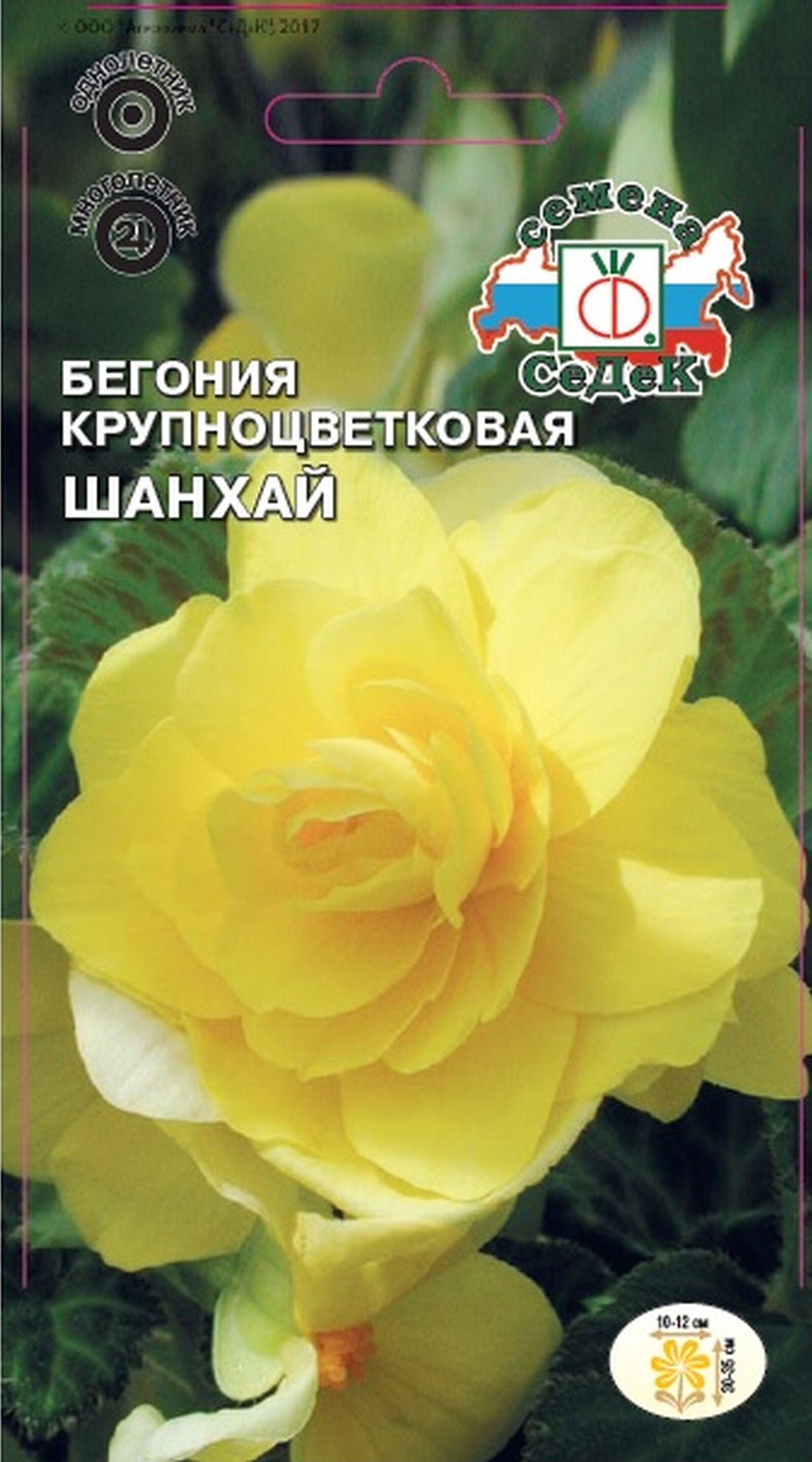 

Семена Бегонии СеДеК Шанхай 10 г
