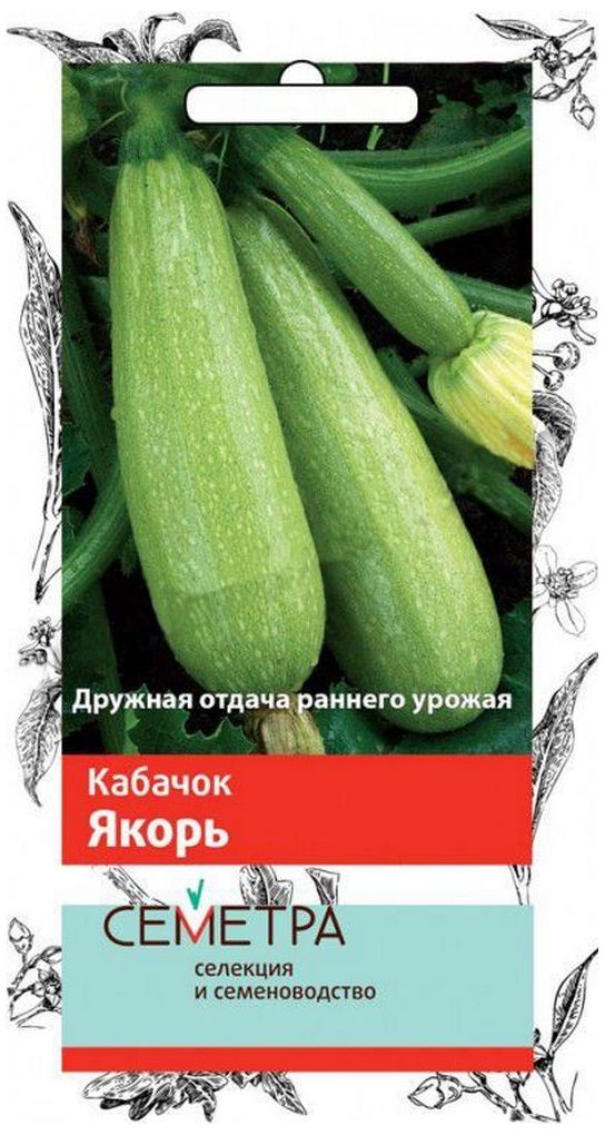 

Семена Кабачка ПОИСК Якорь 12 шт