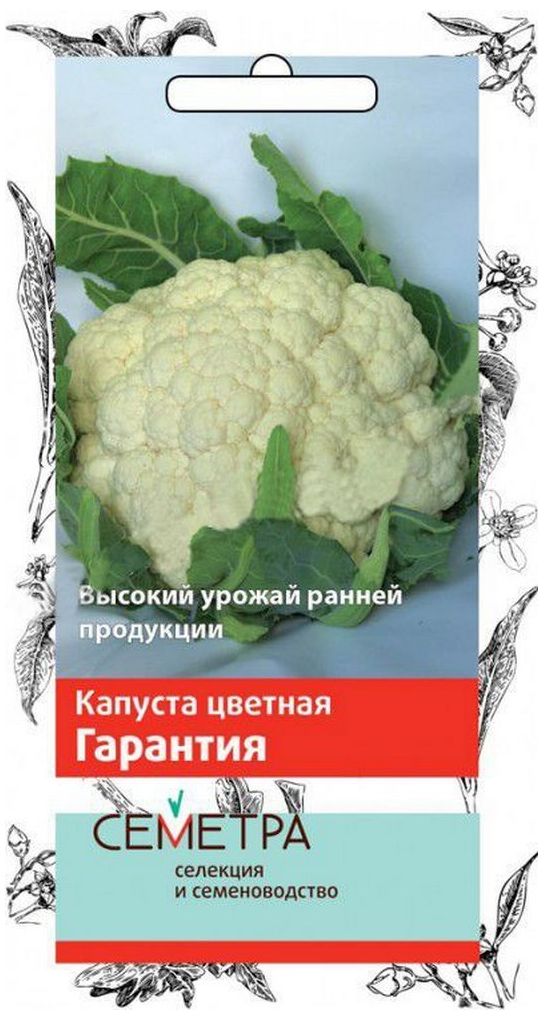 

Семена Капусты ПОИСК СЕМЕТРА Гарантия 0,5 г