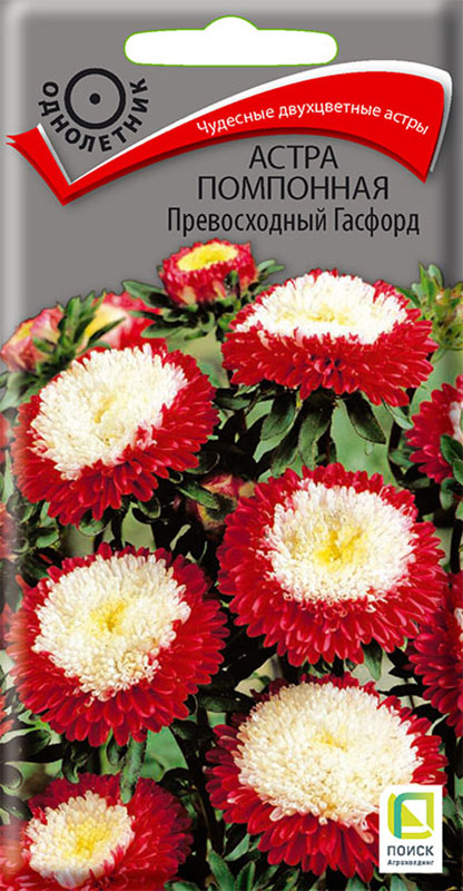 

Семена Астры помпонной ПОИСК Превосходный Гасфорд 0,3 г