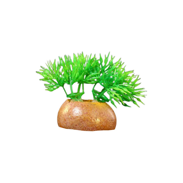 Растение Пижон Аква искусственное аквариумное на камне, 5 x 4 x 7 см