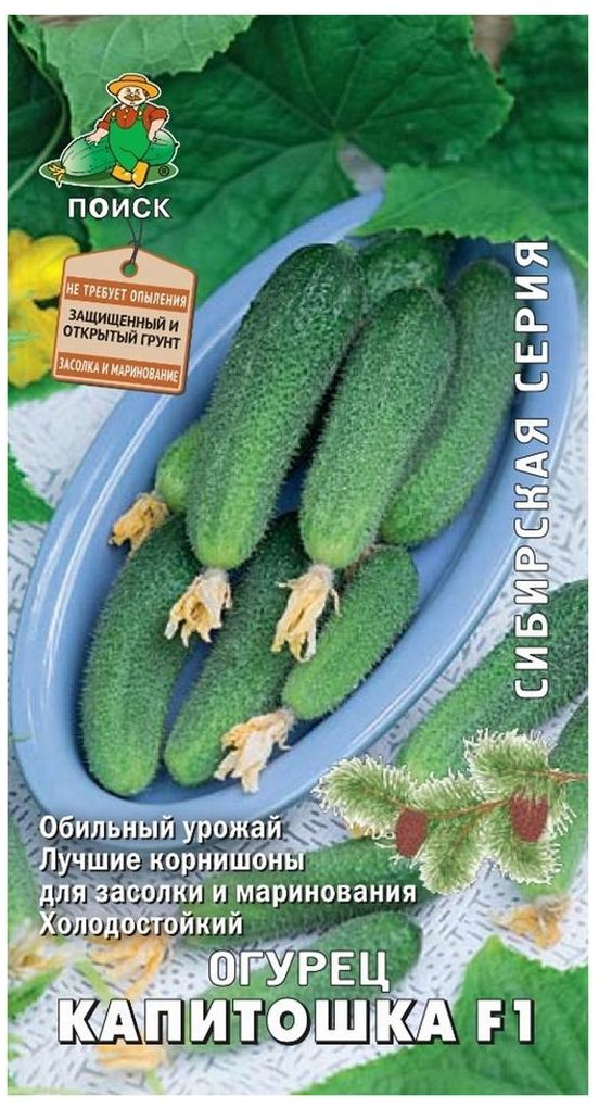 

Семена Огурца ПОИСК Капитошка F1 0,1 г