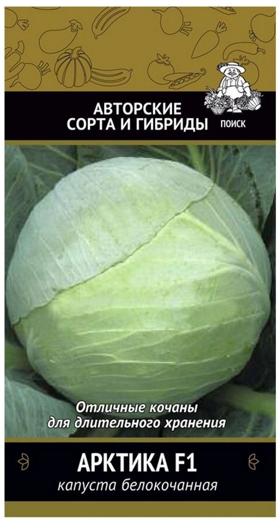 

Семена Капусты ПОИСК Авторские сорта и гибриды Арктика F1 0,2 г
