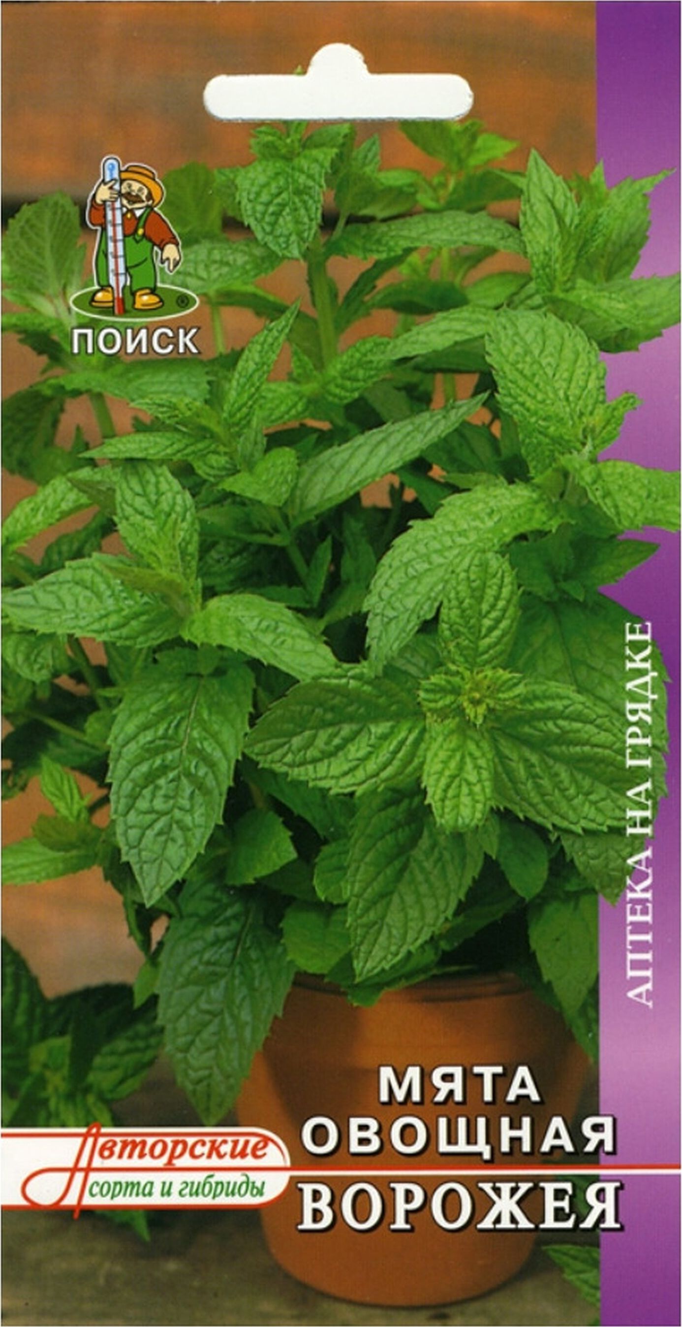 

Семена Мяты ПОИСК Ворожея 0,1 г