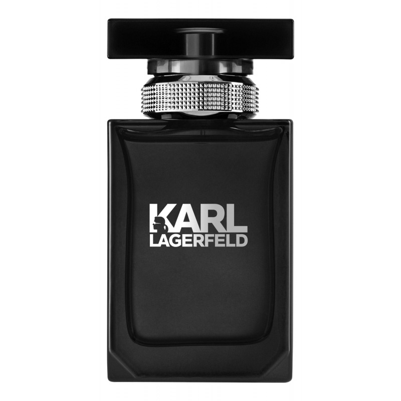 Туалетная вода Karl Lagerfeld for him 100мл karl lagerfeld fleur d orchidee 50