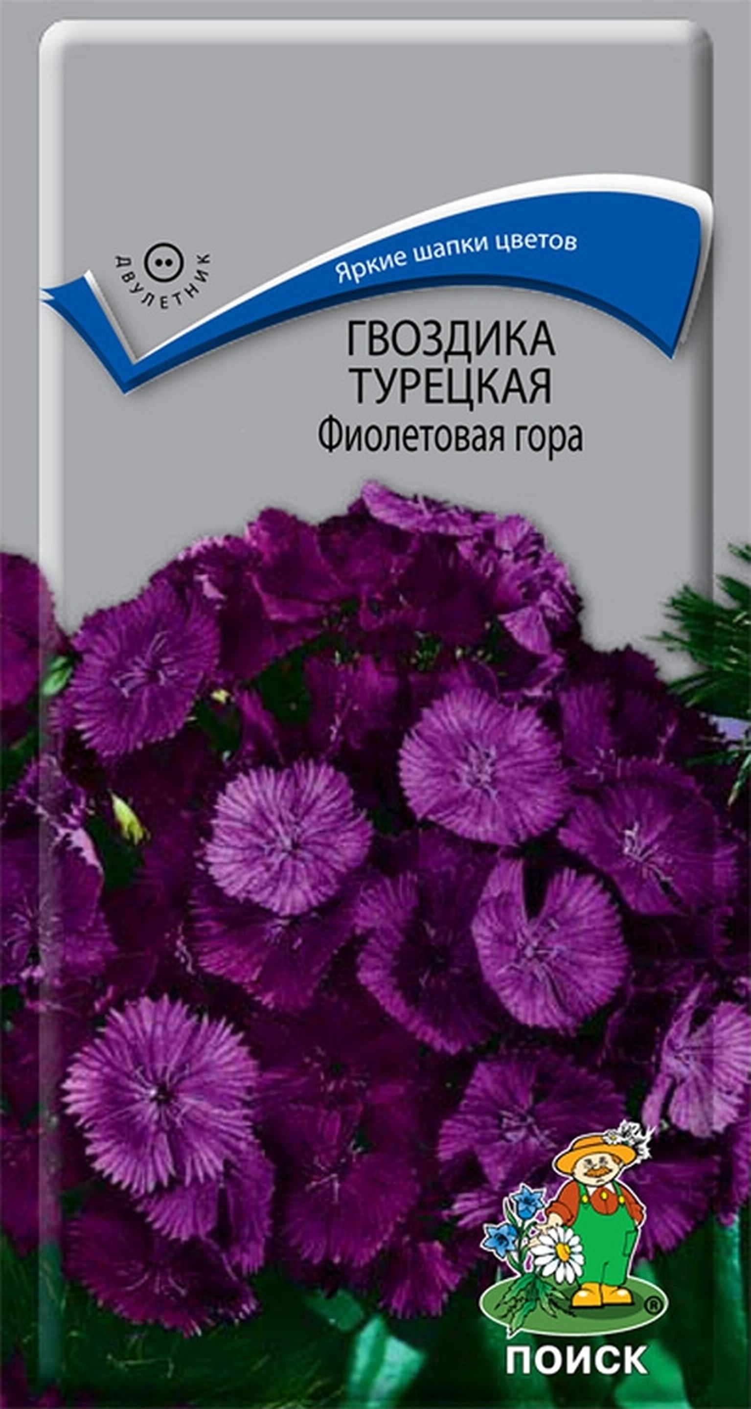 

Семена Гвоздики ПОИСК Фиолетовая гора 0,25 г