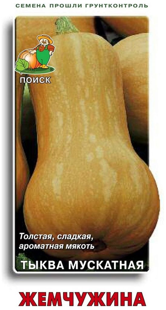 

Семена Тыквы мускатной ПОИСК Жемчужина 10 шт