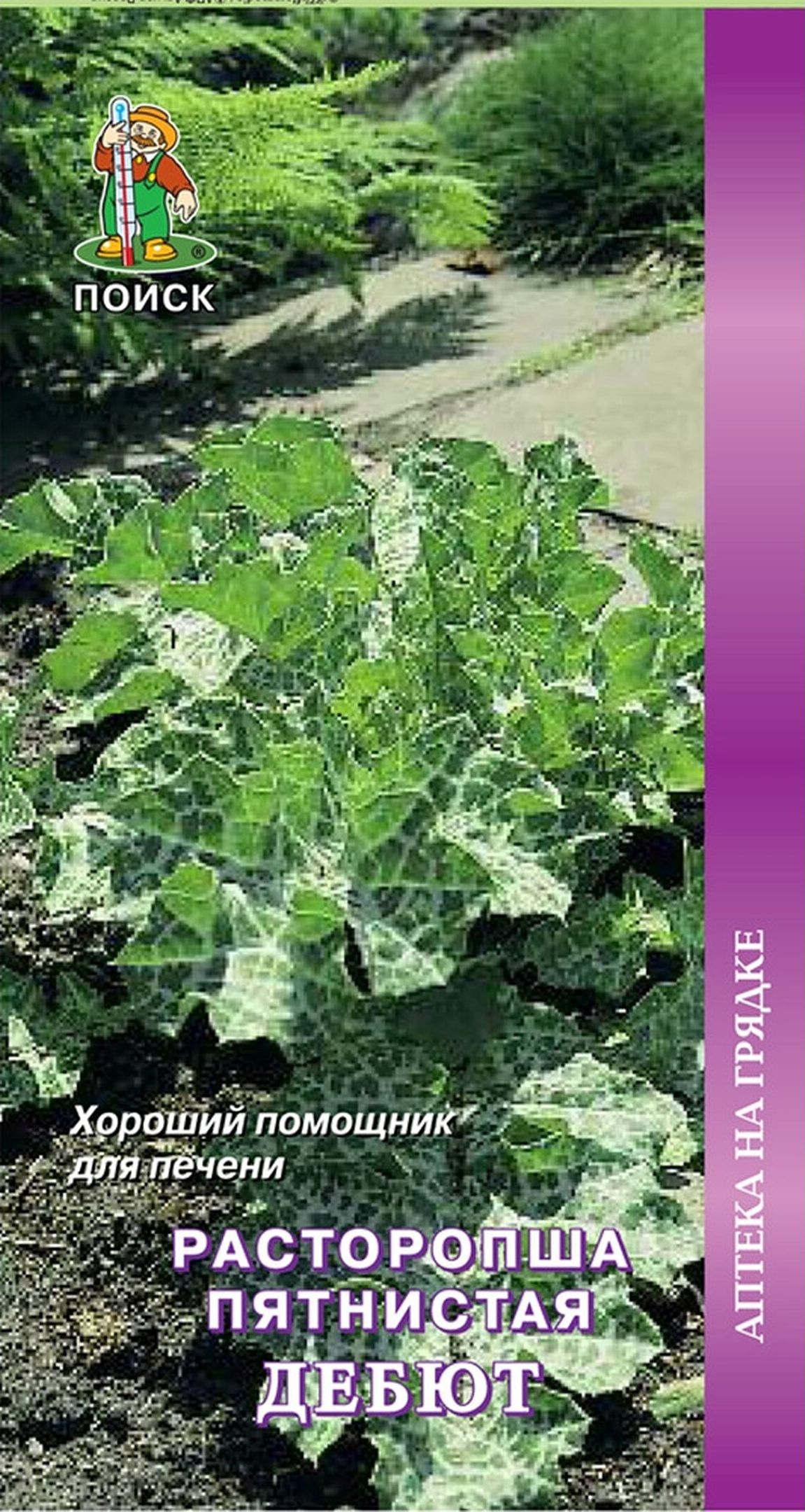 

Семена Расторопши пятнистой ПОИСК Аптека на грядке Дебют 0,5 г