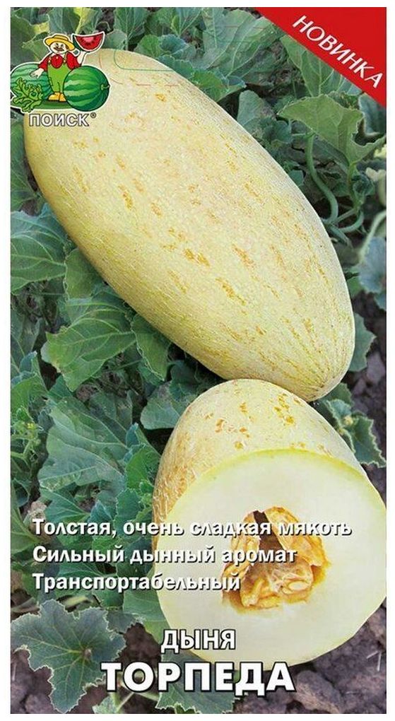 

Семена Дыни ПОИСК Торпеда 15 шт