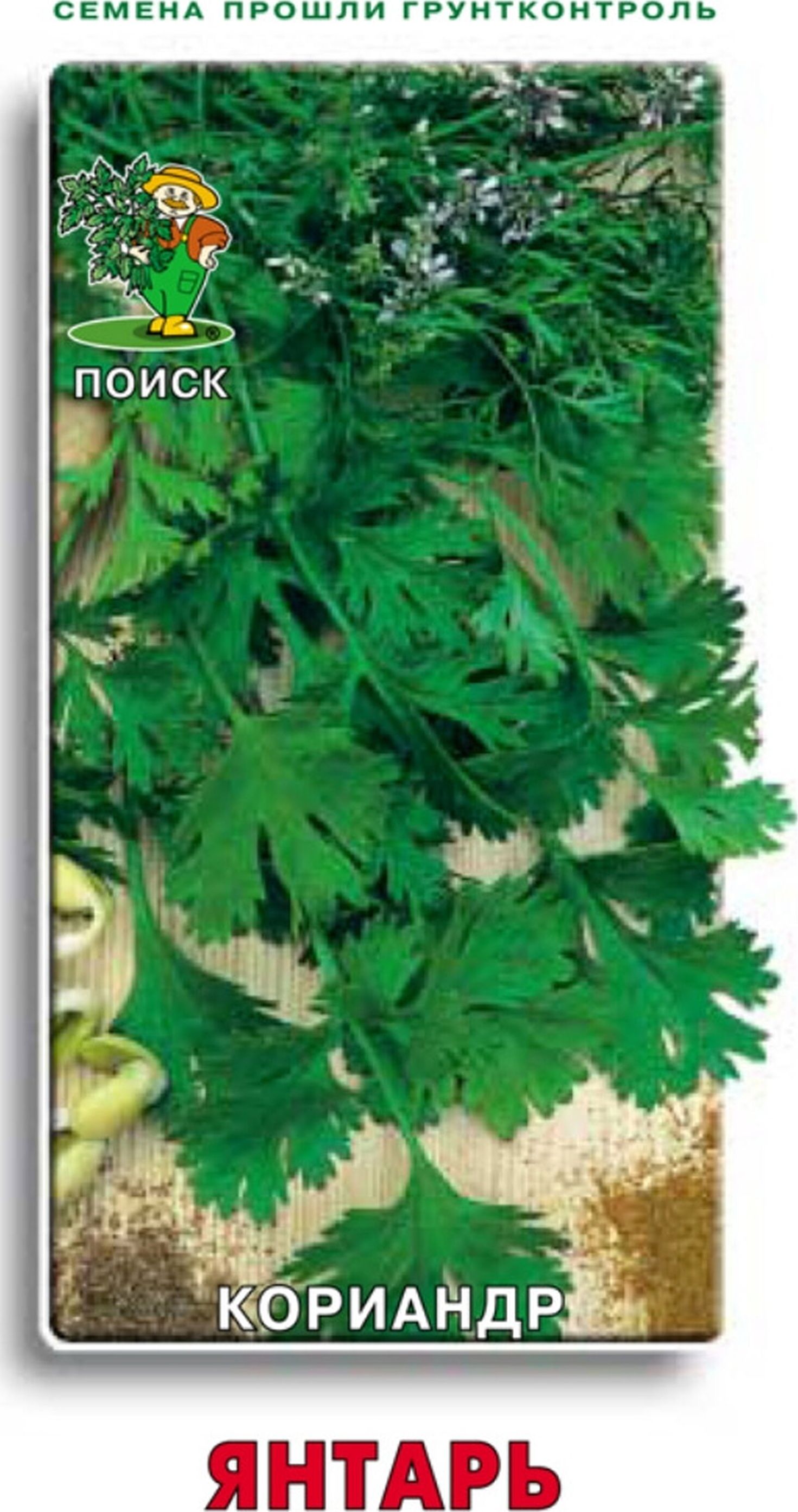 

Семена Кориандра ПОИСК Янтарь 3 г