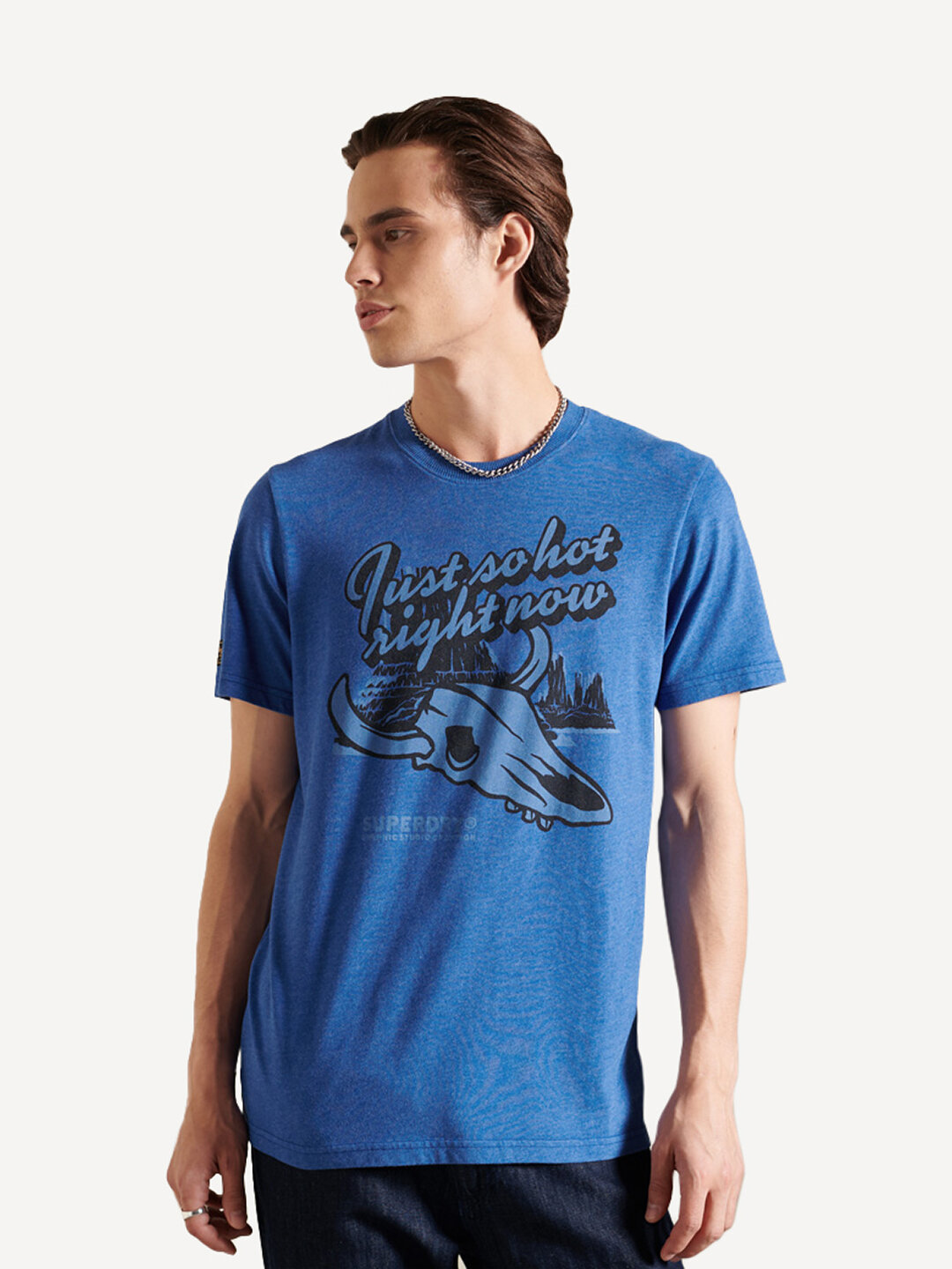 

Футболка мужская Superdry HERITAGE MOUNTAIN TEE синяя XL, HERITAGE MOUNTAIN TEE