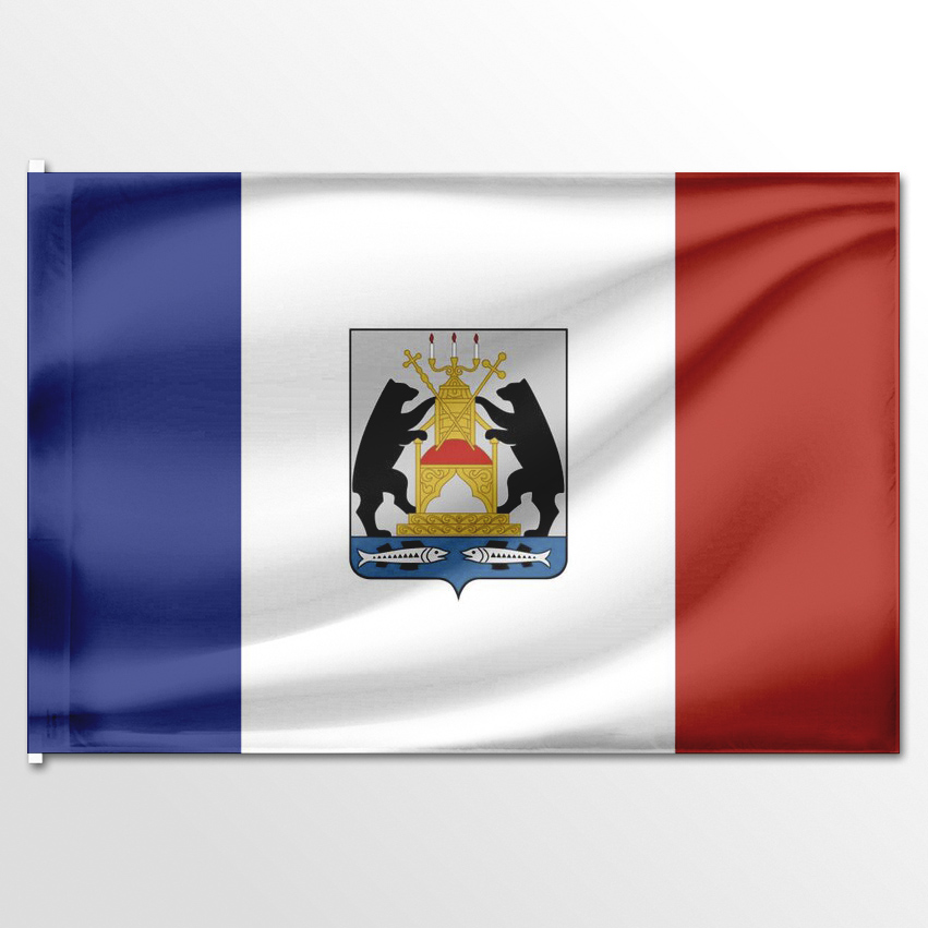 

Флаг ЦТП ФЕНИКС Новгородской области 135x90 см, 2039-135x90
