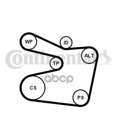 Комплект Поликлинового Ремня Continental арт. 6PK1555K2