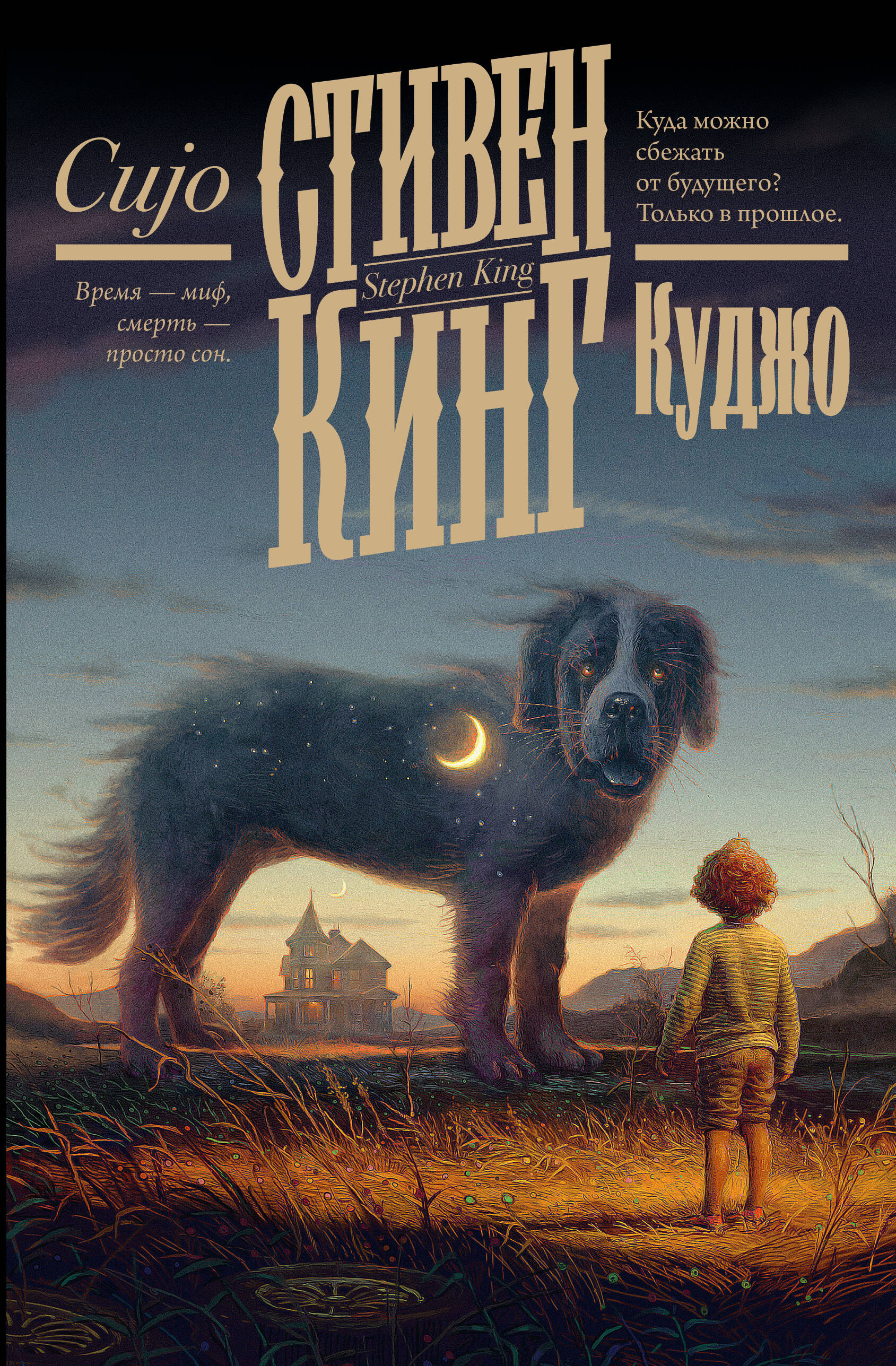 

Куджо, Кинг: книжная полка