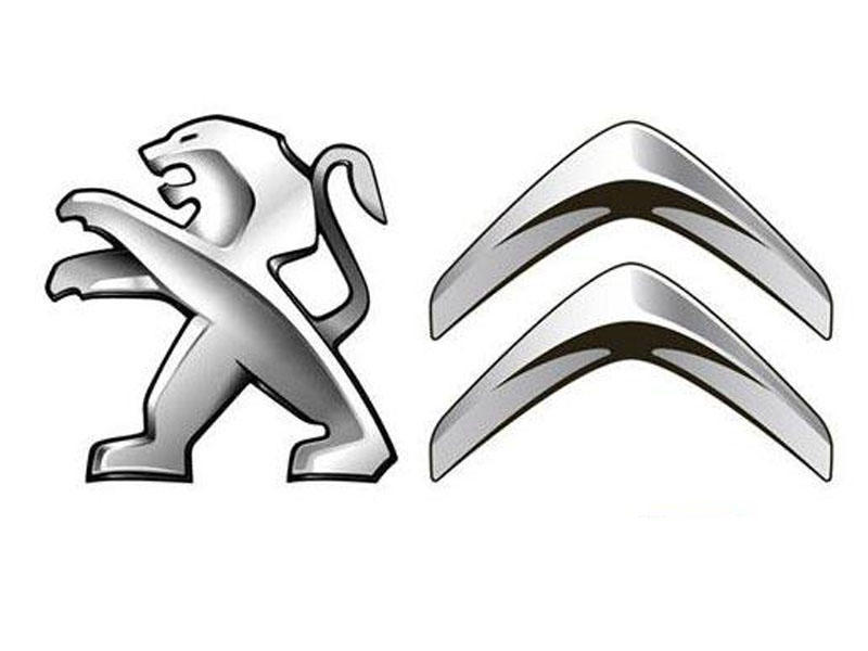 

Колпачок ступицы колеса Peugeot-Citroen с эмблемой Peugeot 542183, Серебристый