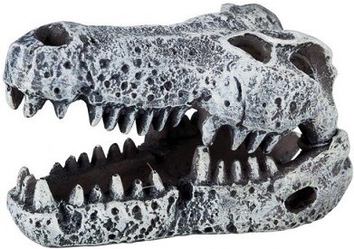 

Грот для аквариума TRIXIE Dinosaur Skulls Черепа динозавров, в ассортименте, 21х11х6см 6шт, Dinosaur Skulls Черепа динозавров