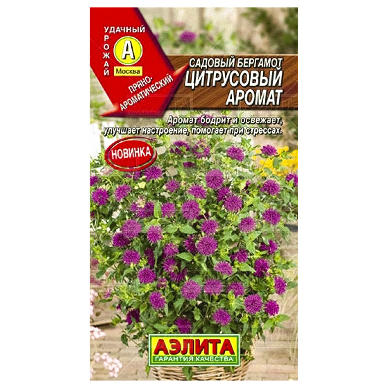 

Семена Садовый бергамот Цитрусовый аромат, 0,02 г АЭЛИТА