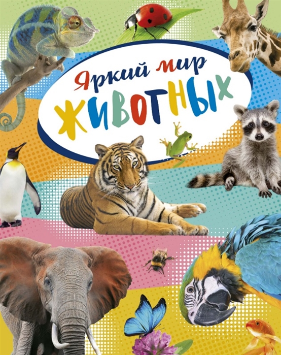 фото Книга «яркий мир животных» махаон