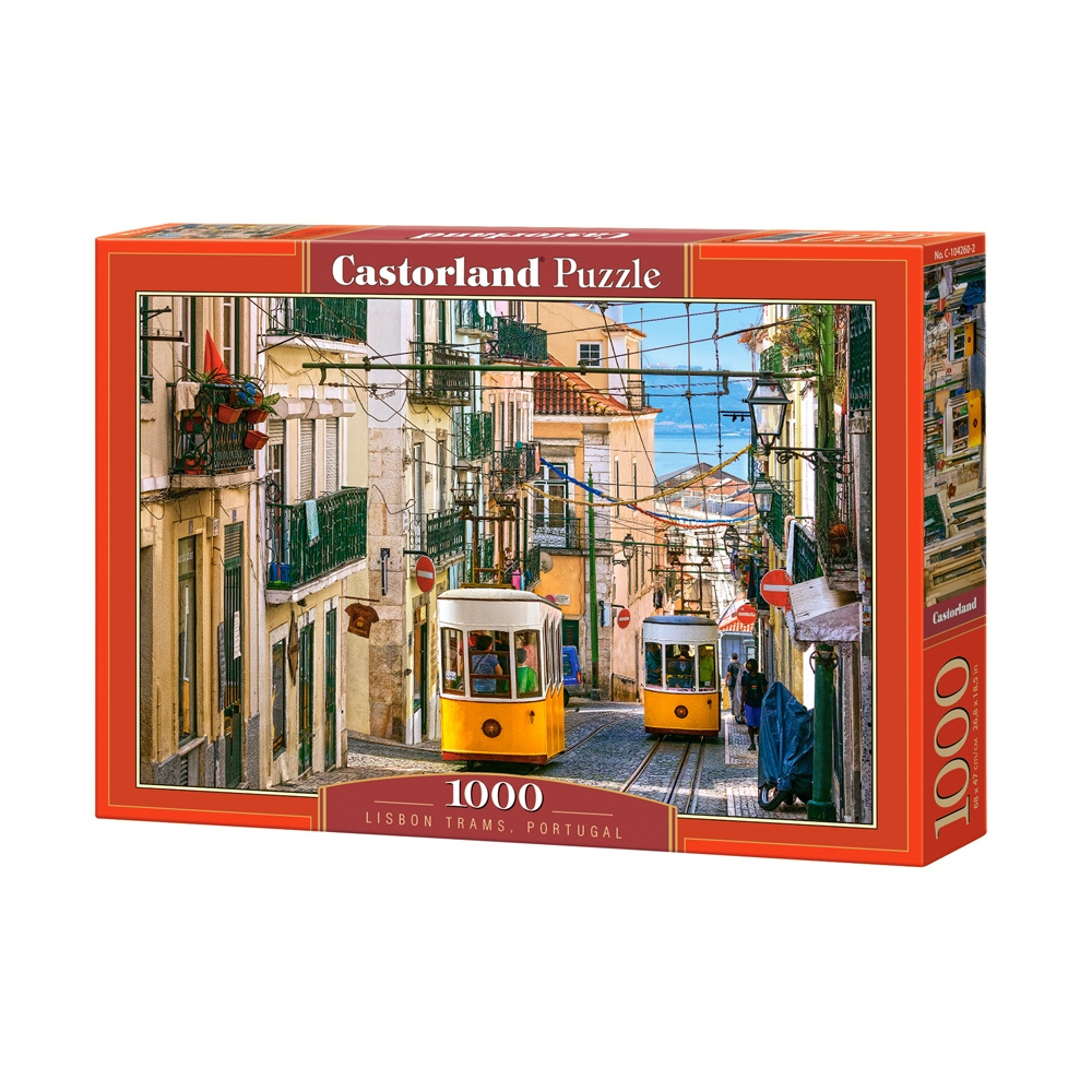 

Пазл Castorland 1000 деталей