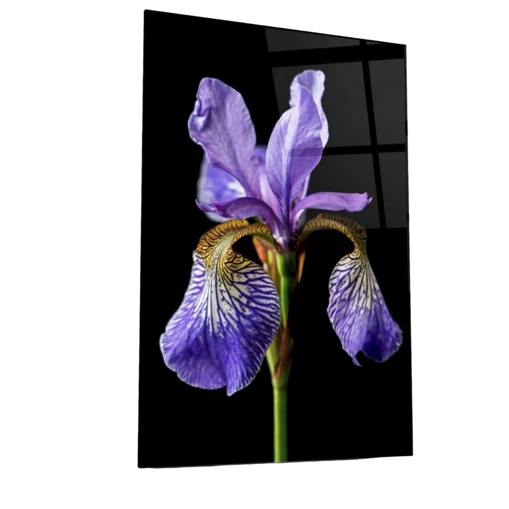 Картина на стекле ARTABOSKO Ирис