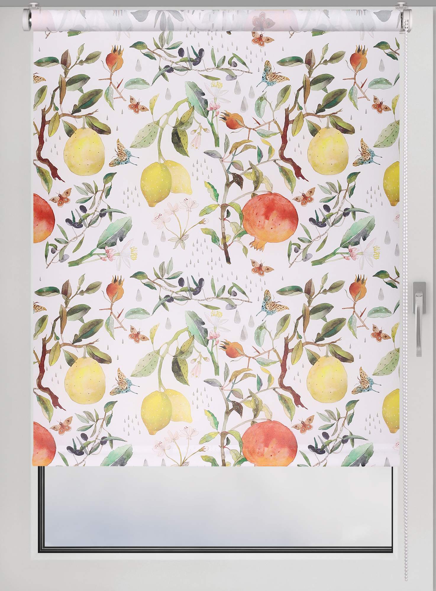 

Штора рулонная FRANC GARDINER PRINT 50х160см на окно. Фрукты, мультиколор, PRINT